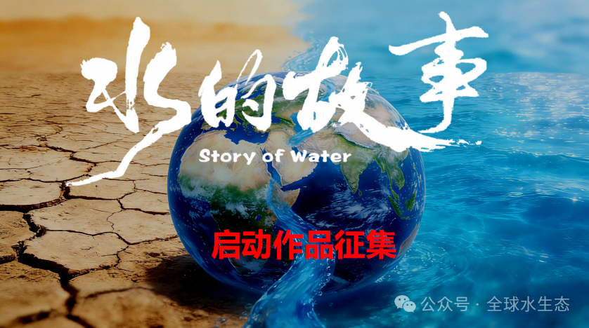 全球水生态项目宣传片